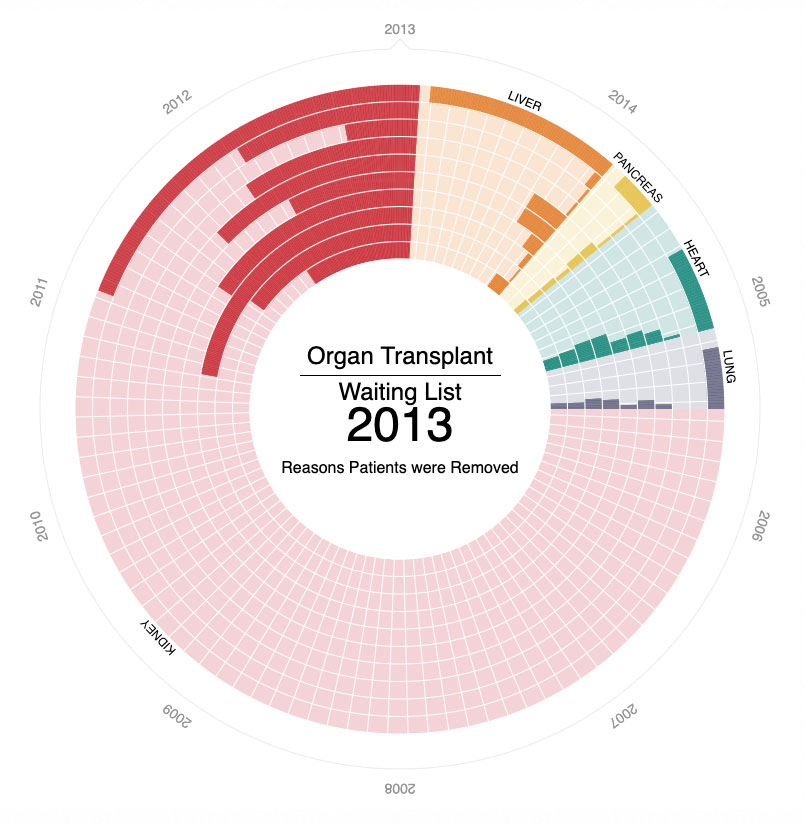 Data Visualization — Mahdi Mamouri Agency